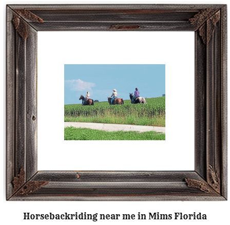 horseback riding near me in Mims, Florida